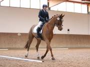 Image 33 in MARTLEY HALL STUD 17 MARCH 2019