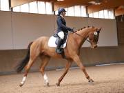 Image 35 in MARTLEY HALL STUD 17 MARCH 2019