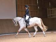 Image 37 in MARTLEY HALL STUD 17 MARCH 2019
