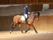 Image 38 in MARTLEY HALL STUD 17 MARCH 2019