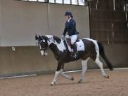 Image 39 in MARTLEY HALL STUD 17 MARCH 2019