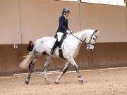 Image 40 in MARTLEY HALL STUD 17 MARCH 2019