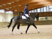 Image 41 in MARTLEY HALL STUD 17 MARCH 2019