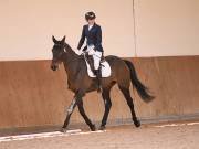 Image 42 in MARTLEY HALL STUD 17 MARCH 2019