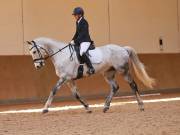 Image 43 in MARTLEY HALL STUD 17 MARCH 2019