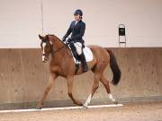 Image 44 in MARTLEY HALL STUD 17 MARCH 2019