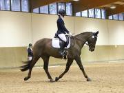 Image 46 in MARTLEY HALL STUD 17 MARCH 2019