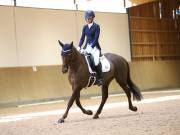 Image 47 in MARTLEY HALL STUD 17 MARCH 2019