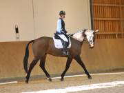 Image 49 in MARTLEY HALL STUD 17 MARCH 2019