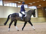 Image 51 in MARTLEY HALL STUD 17 MARCH 2019