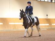 Image 53 in MARTLEY HALL STUD 17 MARCH 2019