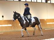 Image 54 in MARTLEY HALL STUD 17 MARCH 2019