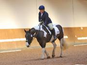 Image 55 in MARTLEY HALL STUD 17 MARCH 2019