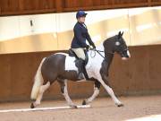 Image 56 in MARTLEY HALL STUD 17 MARCH 2019