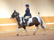 Image 58 in MARTLEY HALL STUD 17 MARCH 2019