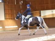 Image 69 in MARTLEY HALL STUD  17 MARCH 2019