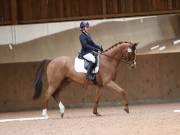 Image 77 in MARTLEY HALL STUD  17 MARCH 2019
