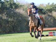 Image 100 in GT. WITCHINGHAM 24 MARCH 2019. BE90