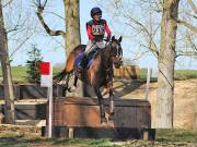 Image 108 in GT. WITCHINGHAM 24 MARCH 2019. BE90