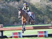 Image 111 in GT. WITCHINGHAM 24 MARCH 2019. BE90