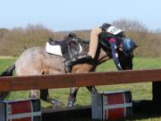 Image 114 in GT. WITCHINGHAM 24 MARCH 2019. BE90
