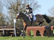 Image 116 in GT. WITCHINGHAM 24 MARCH 2019. BE90