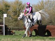 Image 12 in GT. WITCHINGHAM 24 MARCH 2019. BE90