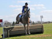 Image 122 in GT. WITCHINGHAM 24 MARCH 2019. BE90
