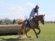 Image 133 in GT. WITCHINGHAM 24 MARCH 2019. BE90