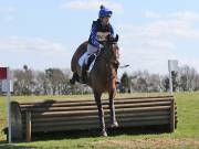 Image 134 in GT. WITCHINGHAM 24 MARCH 2019. BE90
