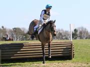 Image 144 in GT. WITCHINGHAM 24 MARCH 2019. BE90