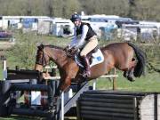 Image 20 in GT. WITCHINGHAM 24 MARCH 2019. BE90