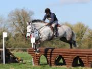 Image 21 in GT. WITCHINGHAM 24 MARCH 2019. BE90
