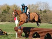 Image 22 in GT. WITCHINGHAM 24 MARCH 2019. BE90