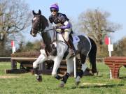 Image 31 in GT. WITCHINGHAM 24 MARCH 2019. BE90