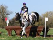 Image 35 in GT. WITCHINGHAM 24 MARCH 2019. BE90
