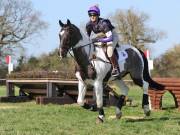 Image 36 in GT. WITCHINGHAM 24 MARCH 2019. BE90