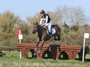 Image 37 in GT. WITCHINGHAM 24 MARCH 2019. BE90