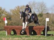 Image 45 in GT. WITCHINGHAM 24 MARCH 2019. BE90