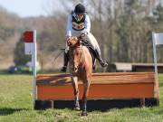 Image 46 in GT. WITCHINGHAM 24 MARCH 2019. BE90