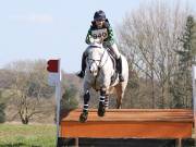 Image 65 in GT. WITCHINGHAM 24 MARCH 2019. BE90
