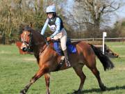Image 73 in GT. WITCHINGHAM 24 MARCH 2019. BE90