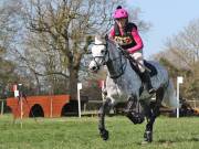 Image 80 in GT. WITCHINGHAM 24 MARCH 2019. BE90
