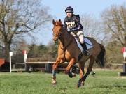 Image 82 in GT. WITCHINGHAM 24 MARCH 2019. BE90