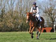 Image 92 in GT. WITCHINGHAM 24 MARCH 2019. BE90