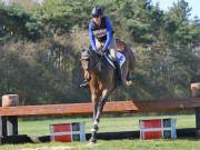 Image 93 in GT. WITCHINGHAM 24 MARCH 2019. BE90