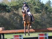 Image 99 in GT. WITCHINGHAM 24 MARCH 2019. BE90