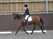 DRESSAGE AT WORLD HORSE WELFARE. 6 APRIL 2019