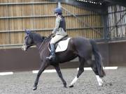 Image 105 in DRESSAGE AT WORLD HORSE WELFARE. 6 APRIL 2019