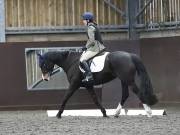 Image 110 in DRESSAGE AT WORLD HORSE WELFARE. 6 APRIL 2019